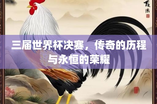 三届世界杯决赛，传奇的历程与永恒的荣耀眉山市正发家政服务有限公司