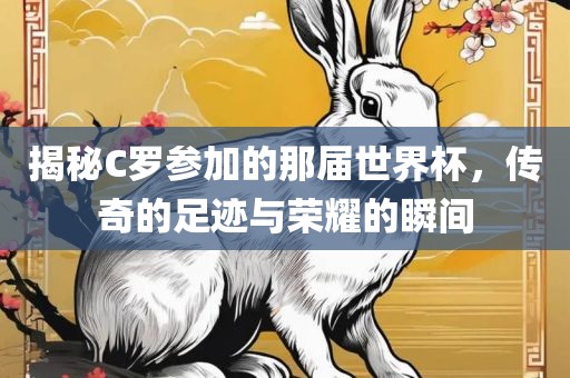 揭秘C罗参加的那届世界杯，传奇的足迹与荣耀的瞬间眉山市正发家政服务有限公司