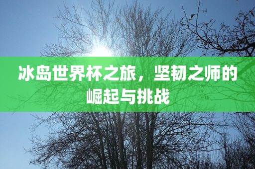 laiyating 第13页