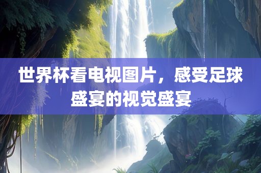 世界杯看电视图片，感受足球盛宴的视觉盛宴