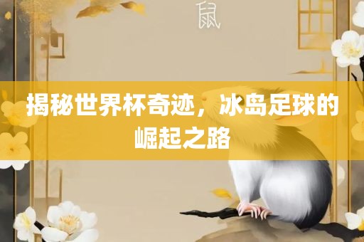 揭秘世界杯奇迹眉山市正发家政服务有限公司，冰岛足球的崛起之路