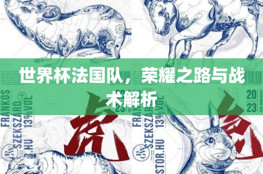 世界杯法国队，荣耀之路与战术解析