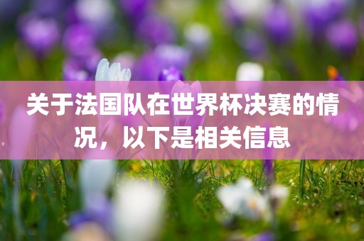 关于法国队在世界杯决赛的情况，以下是相关信息眉山市正发家政服务有限公司