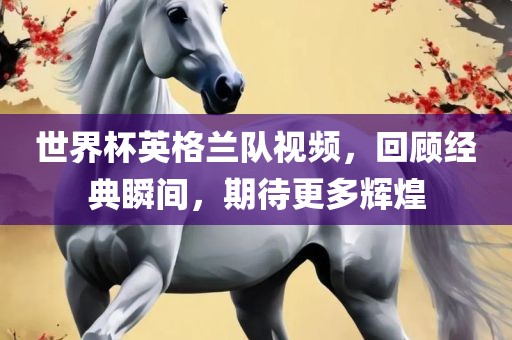 世界杯英格兰队视频，回顾经典瞬间，期待更多辉煌
