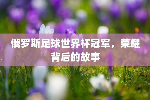 俄罗斯足球世界杯冠军，荣耀背后的故事