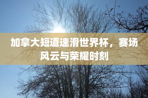 加拿大短道速滑世界杯，赛场风云与荣耀时刻眉山市正发家政服务有限公司