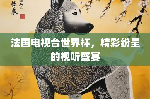 法国电视台世界杯，精彩纷呈的视听盛宴眉山市正发家政服务有限公司