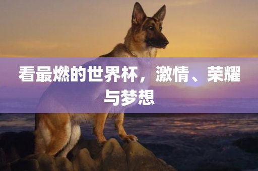 看最燃的世界杯，激情、荣耀与梦想眉山市正发家政服务有限公司
