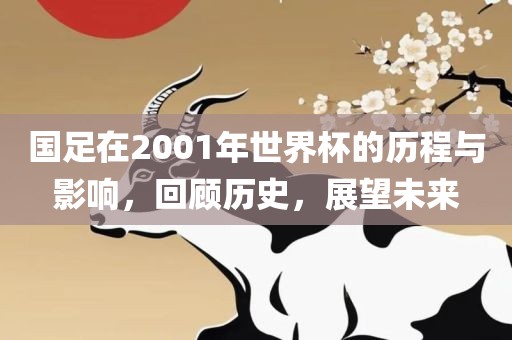 国足在2001年世界杯的历程与影响，回顾历史，眉山市正发家政服务有限公司展望未来