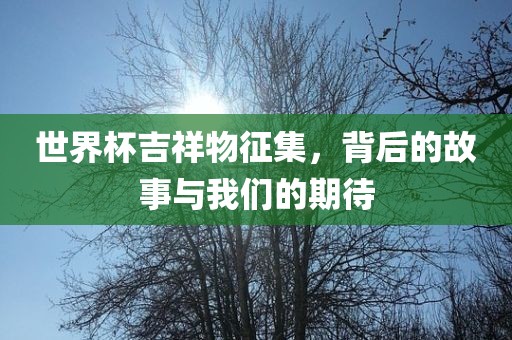 世界杯吉祥物征集眉山市正发家政服务有限公司，背后的故事与我们的期待