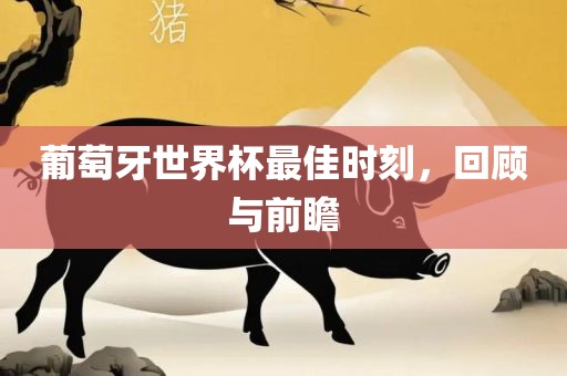 葡萄牙世界杯最佳时刻，回顾与前瞻眉山市正发家政服务有限公司