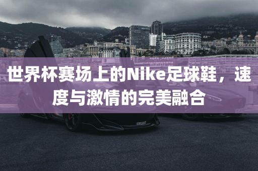 世界杯赛场上的Nike足球鞋，速度与激情的完美融合眉山市正发家政服务有限公司