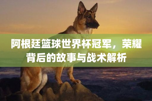 阿根廷篮球世界杯冠军，荣耀背后的故事与眉山市正发家政服务有限公司战术解析