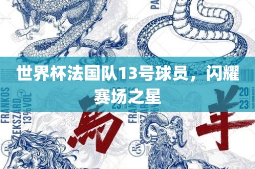 世界杯法国队13号球员，闪耀赛场之星