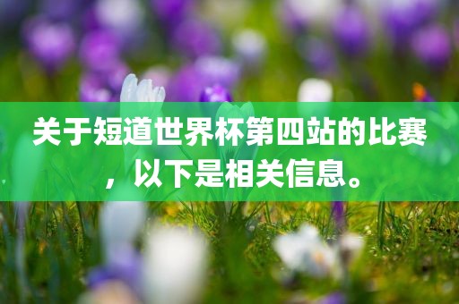 huamei 第4页