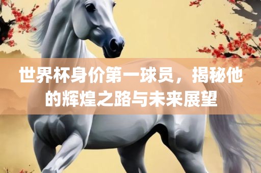 世界杯身价第一球员，揭秘他的辉煌之路与未来展望眉山市正发家政服务有限公司