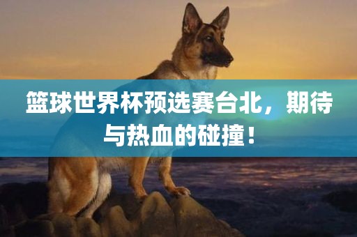 篮球世界杯预选赛台北，期待与热血的碰撞！眉山市正发家政服务有限公司