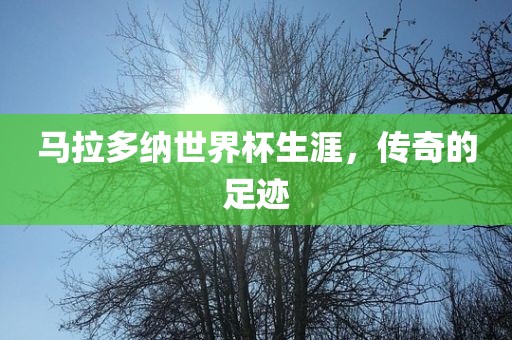 马拉多纳世界杯生涯，传奇的足迹眉山市正发家政服务有限公司