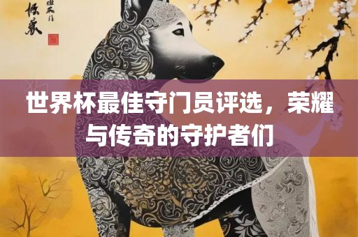 世界杯最佳守门员评选，荣耀与传奇的守护者们眉山市正发家政服务有限公司