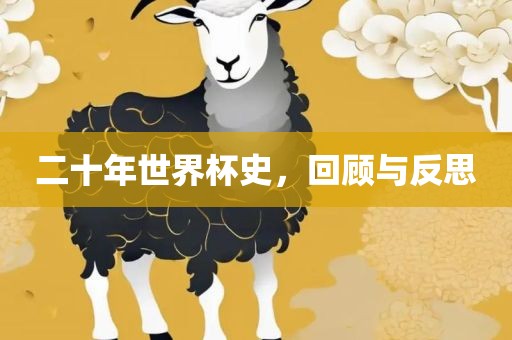 二十年世界杯史，回顾与反思