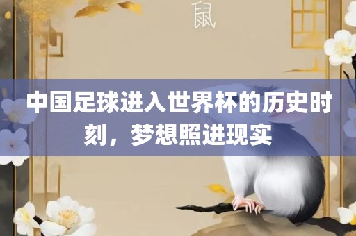 中国足球进入世界杯的历史时刻，梦想照进现实眉山市正发家政服务有限公司