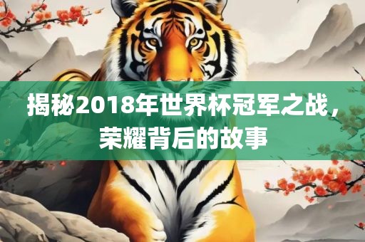 揭秘2018年世界杯冠军之战，荣耀背后的故事