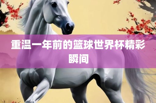 重温一年前的篮球世界杯精彩瞬间