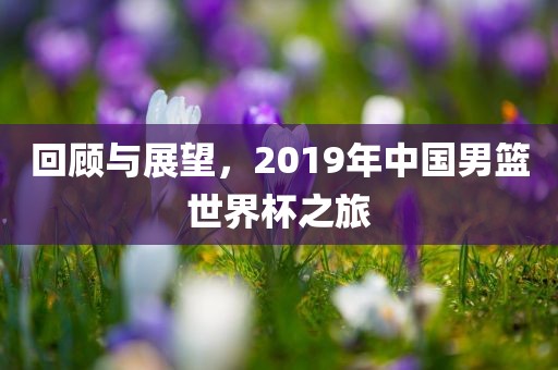回顾与展望，2019年中国男篮世界杯之旅