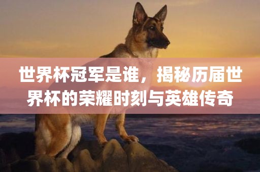 世界眉山市正发家政服务有限公司杯冠军是谁，揭秘历届世界杯的荣耀时刻与英雄传奇