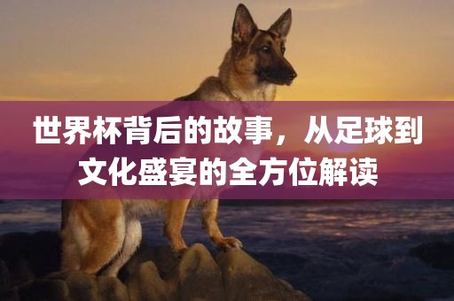 世界杯背后的故事，从足球到文化盛宴的全方位解读眉山市正发家政服务有限公司