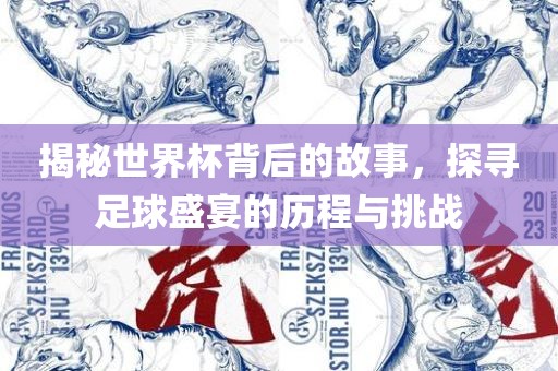 揭秘世界杯背后的故事，探寻足球盛宴的历程与挑战眉山市正发家政服务有限公司