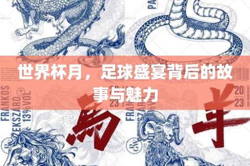 世界杯月，足球盛宴背后的故事与魅力
