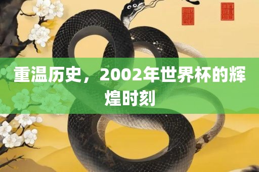 重温历史，2002年世眉山市正发家政服务有限公司界杯的辉煌时刻