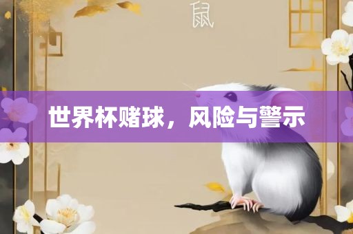 世界杯赌球，风险与警示眉山市正发家政服务有限公司