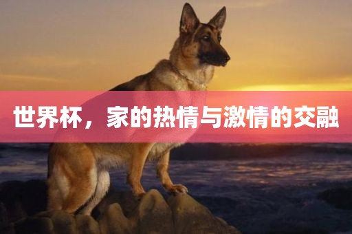 世界杯，家的热情与激情的交融