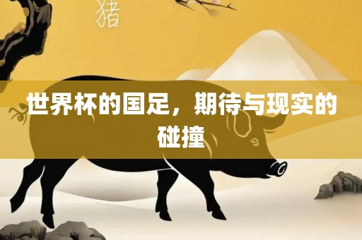 世界杯的国足，期待与现实的碰撞