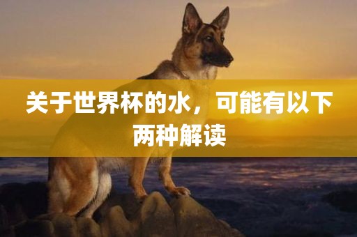 关于世界杯的水，可能有以下两种解读眉山市正发家政服务有限公司