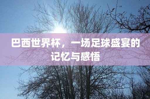 巴西世界杯，一场足球盛宴的记忆与感悟眉山市正发家政服务有限公司