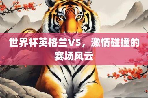 世界杯英格兰VS，激情碰撞的赛场风云