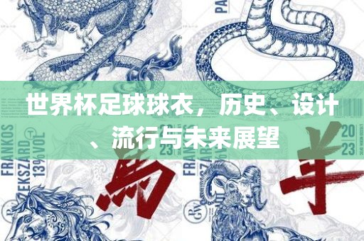 世界杯足球球衣，历史、设计、流行与未来展望眉山市正发家政服务有限公司