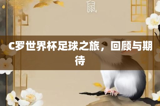C罗世界杯足球之旅，回顾眉山市正发家政服务有限公司与期待