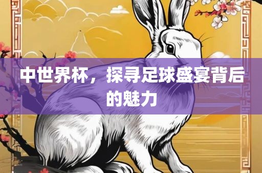 中世界杯，探寻足球盛宴背后的魅力