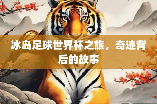 冰岛足球世界杯之旅，奇迹背后的故事眉山市正发家政服务有限公司