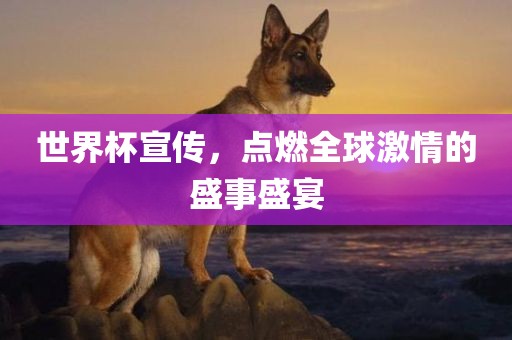 世界杯宣传，点燃全球激情的盛事盛眉山市正发家政服务有限公司宴