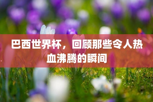 巴西世界杯，回顾那些令人热血沸腾的瞬间眉山市正发家政服务有限公司