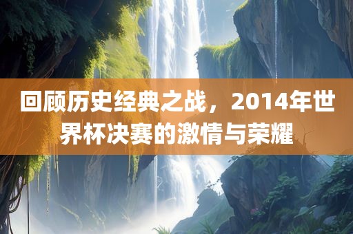 回顾历史经典之战，2014年世界杯决赛的激情与荣耀眉山市正发家政服务有限公司