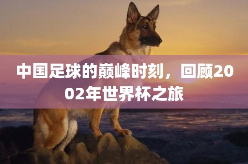 中国足球的巅峰时刻，回顾2002年世界杯之旅眉山市正发家政服务有限公司