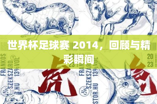 世界杯足球赛 2014，回顾与精彩瞬间