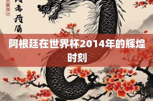 阿根廷在世界杯2014年的辉煌时刻