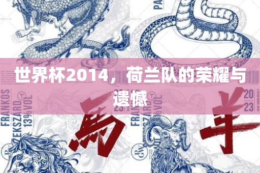 世界杯2014，荷兰队的荣耀与遗憾